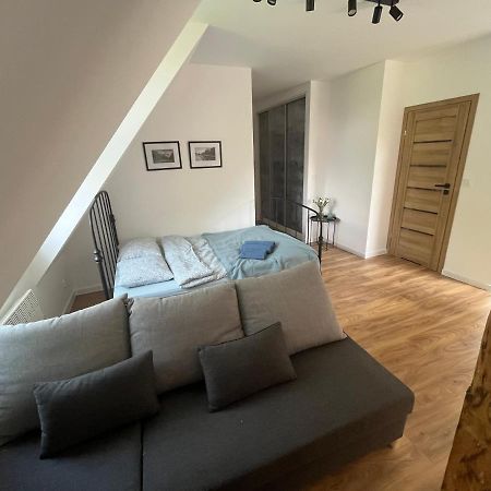 Apartament Willa Bellevue Рабка Экстерьер фото