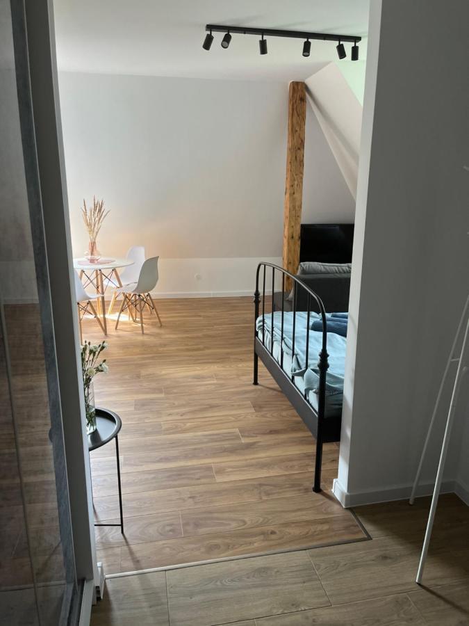 Apartament Willa Bellevue Рабка Экстерьер фото
